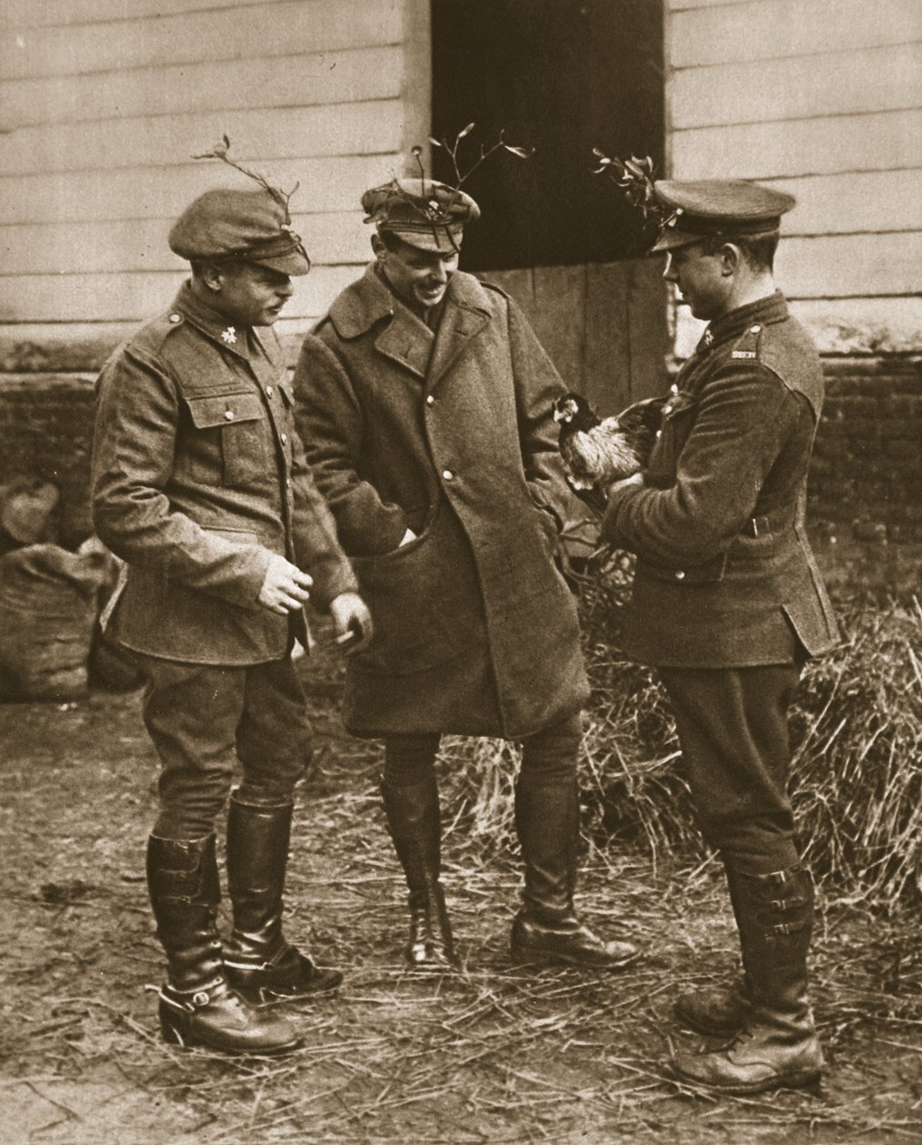 Typowa brytyjska grupa: żołnierze w jemiołach i kurczak na Boże Narodzenie, ilustracja z The Illustrated War News (zdjęcie w sepii) autorstwa English Photographer