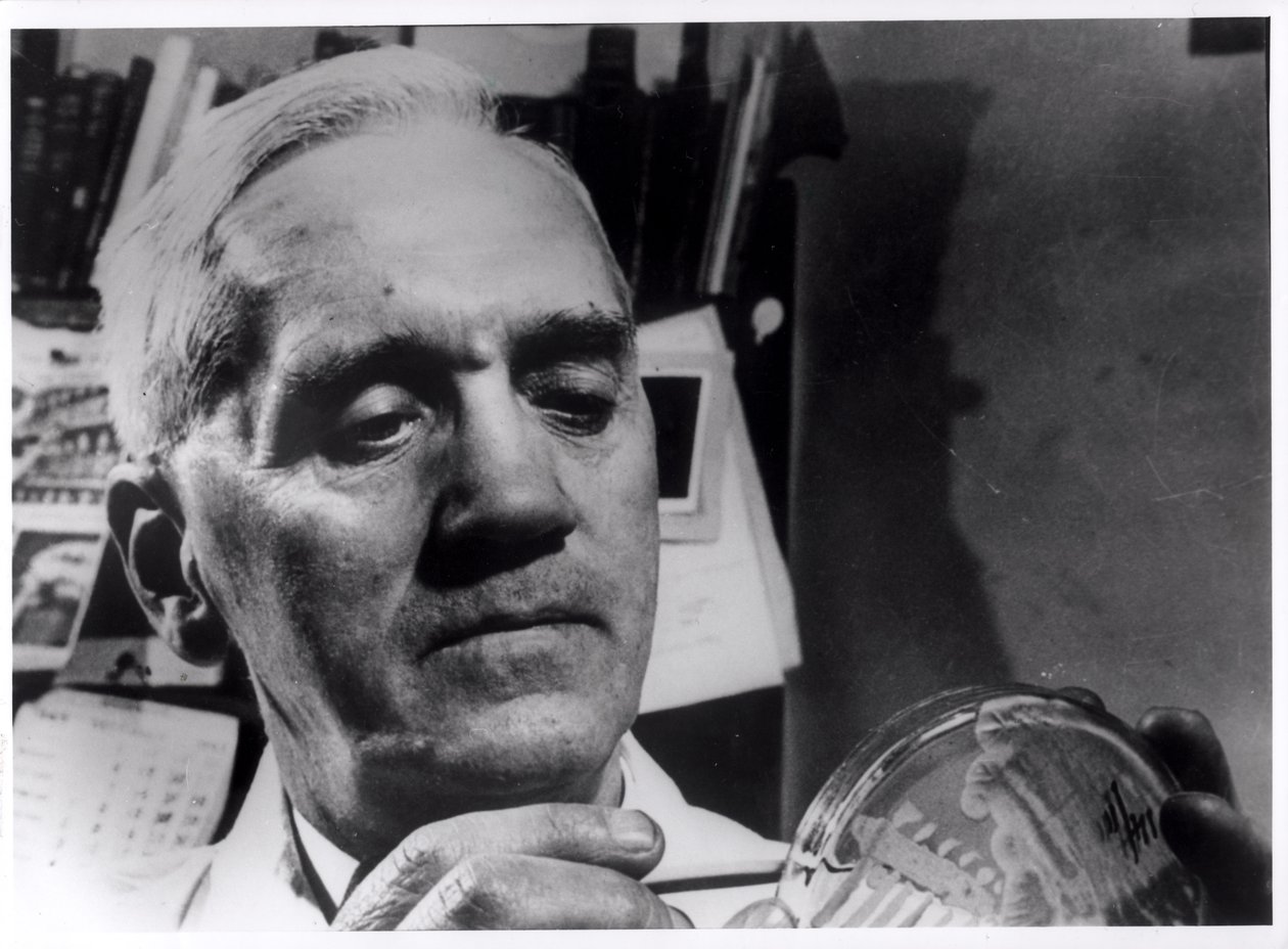 Aleksander Fleming (1881-1955) c.1945 autorstwa English Photographer