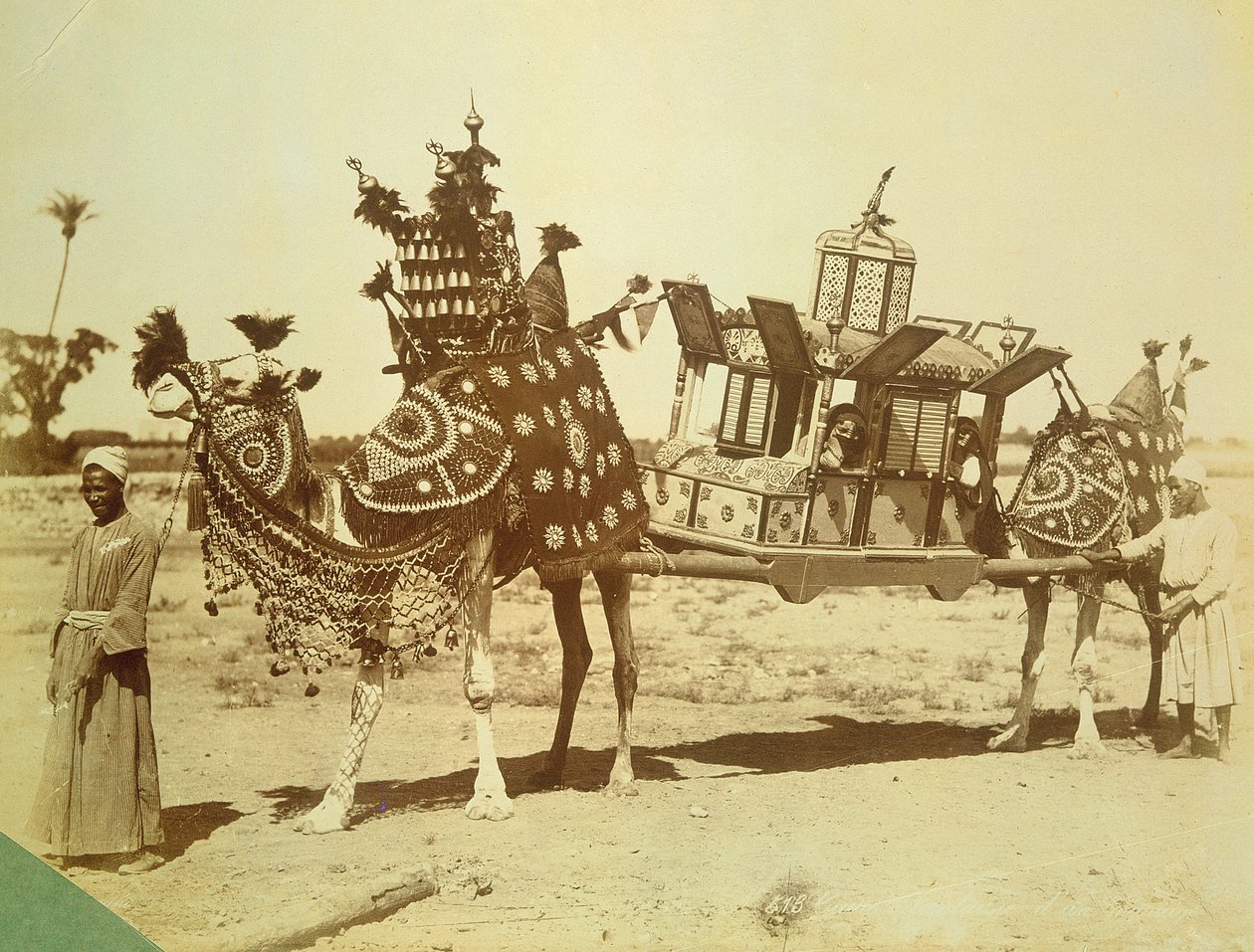 Palankin ślubny, Kair, Egipt, ok. 1878 r. autorstwa English Photographer