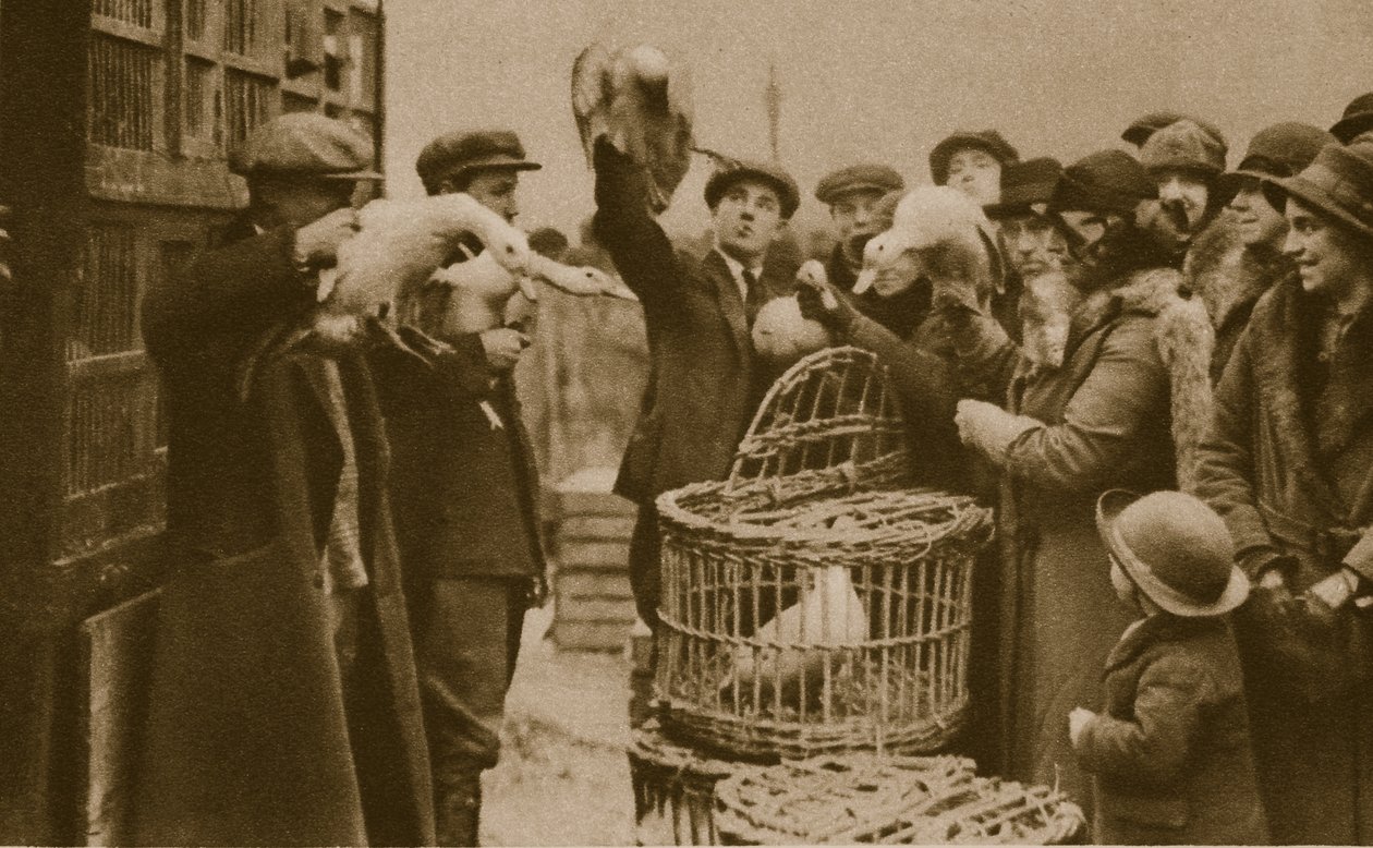Kupowanie żywego drobiu na targu wędkarskim na Rynku Kaledońskim (zdjęcie sepia) autorstwa English Photographer