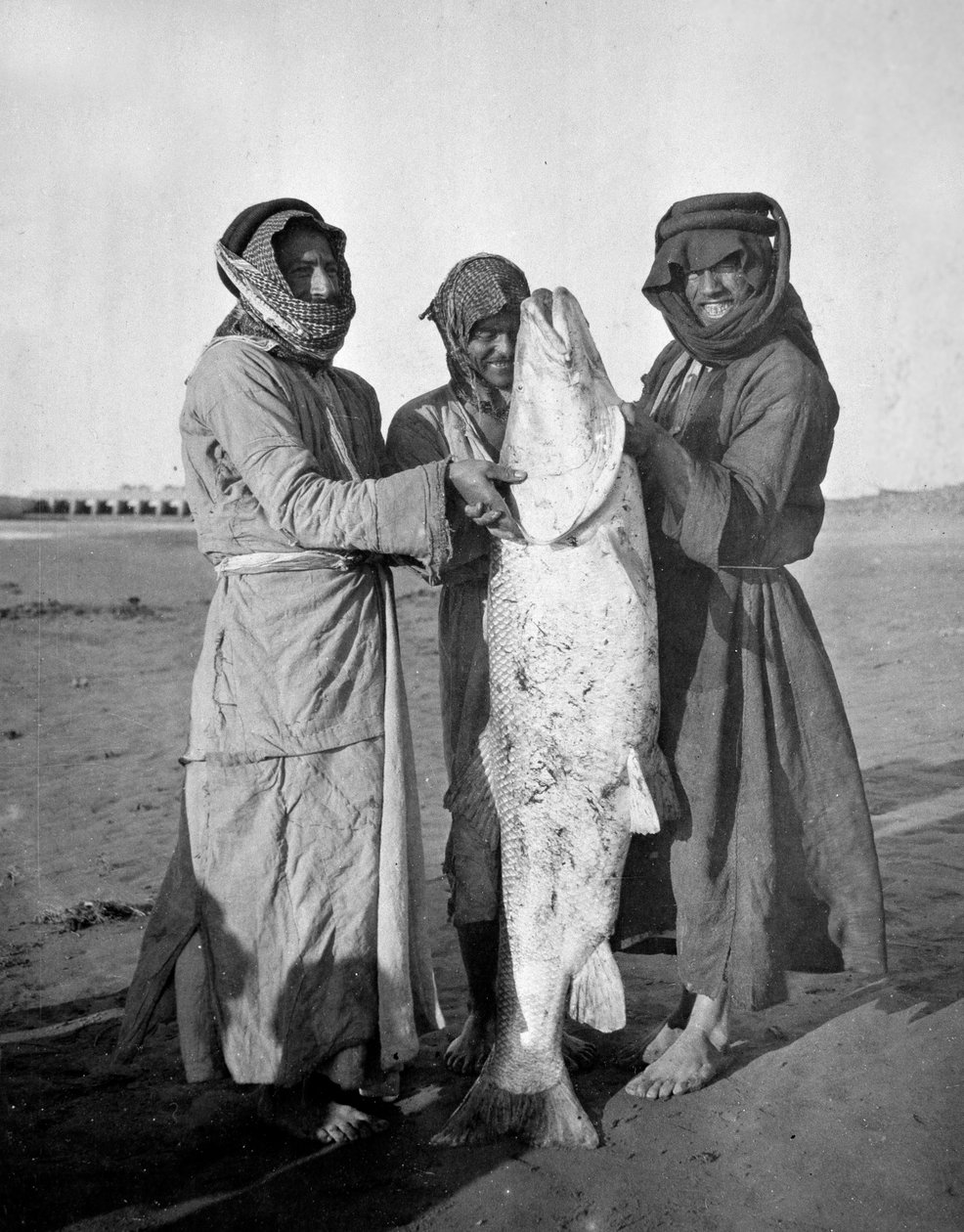 Arabowie cywilni z dużą rybą, 1914-18 autorstwa English Photographer