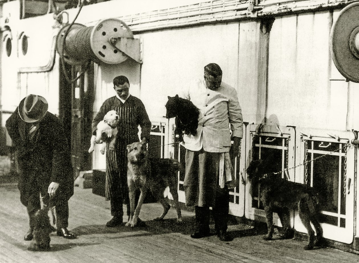 Psy pod opieką członków załogi Titanica, 1912 autorstwa English Photographer