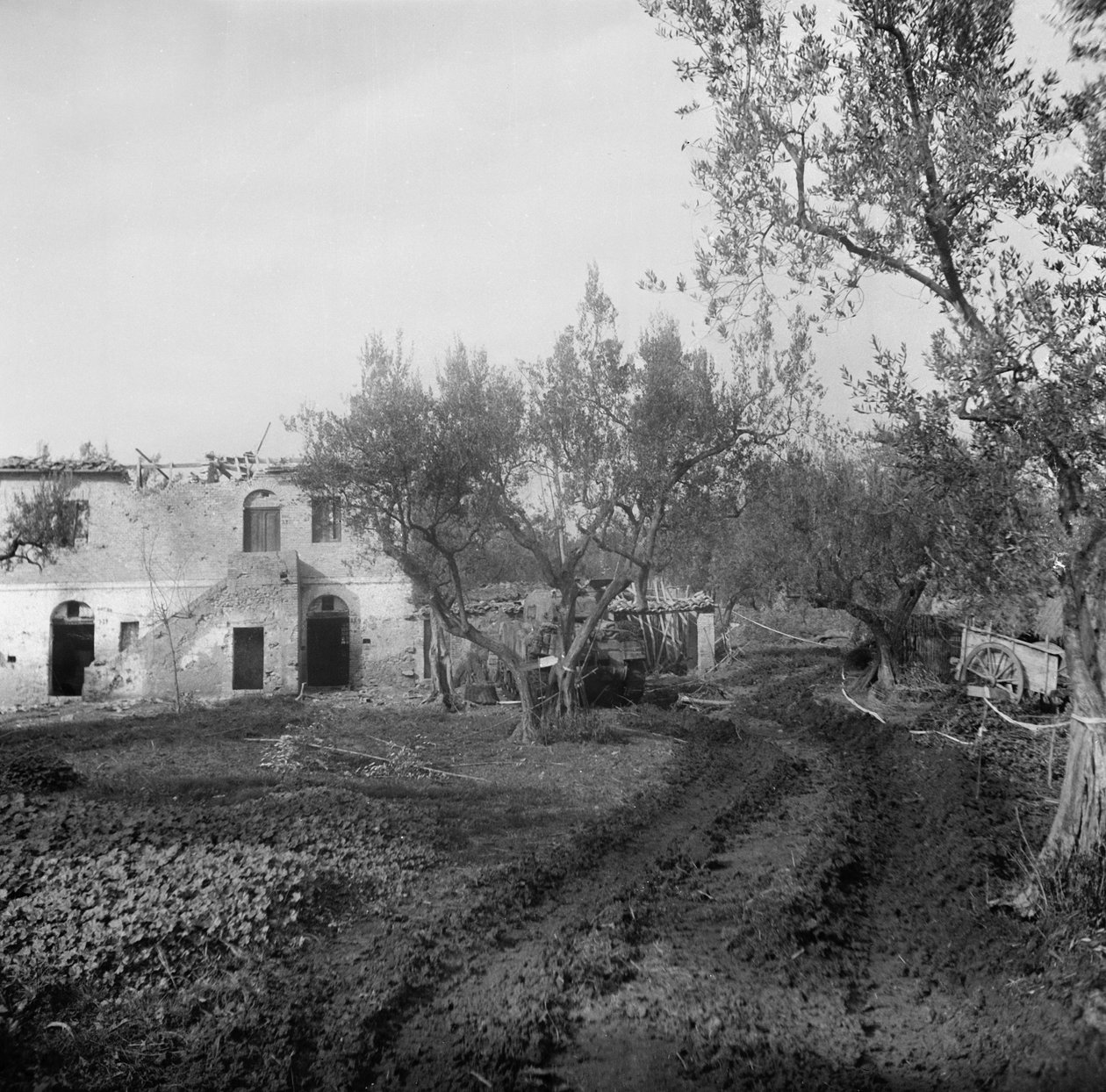Wejście do pasa, przez pole minowe, prowadzące do Licolle Ridge, c.1944 autorstwa English Photographer
