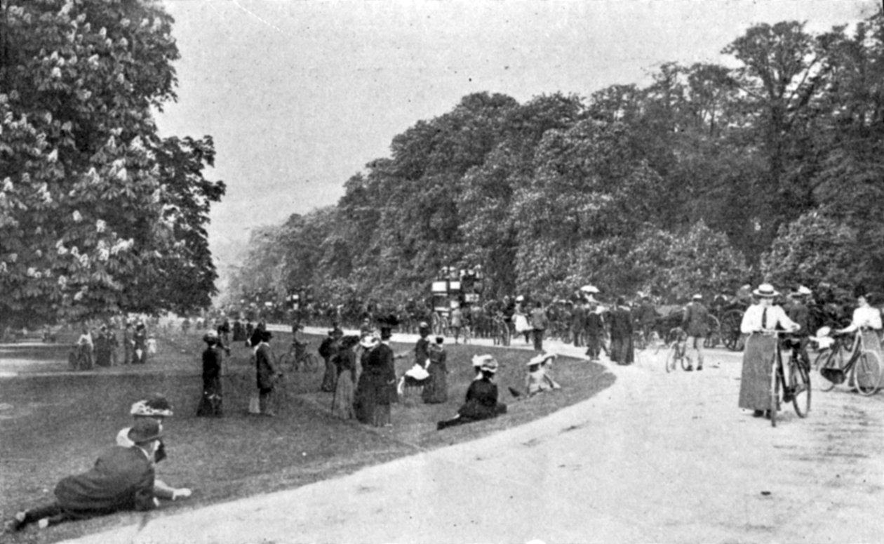 Ogólny widok na park Bushey, ilustracja z The King, 25 maja 1901 r. autorstwa English Photographer