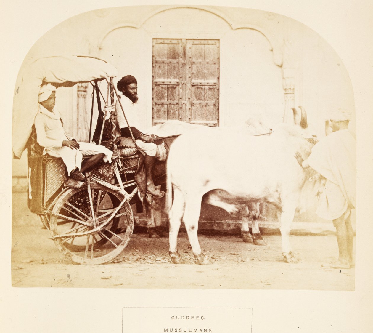 Guddees, Mussulmans, Rajpootana, z The People of India, J. Forbes Watson, opublikowane 1868 (druk albumowy) autorstwa English Photographer