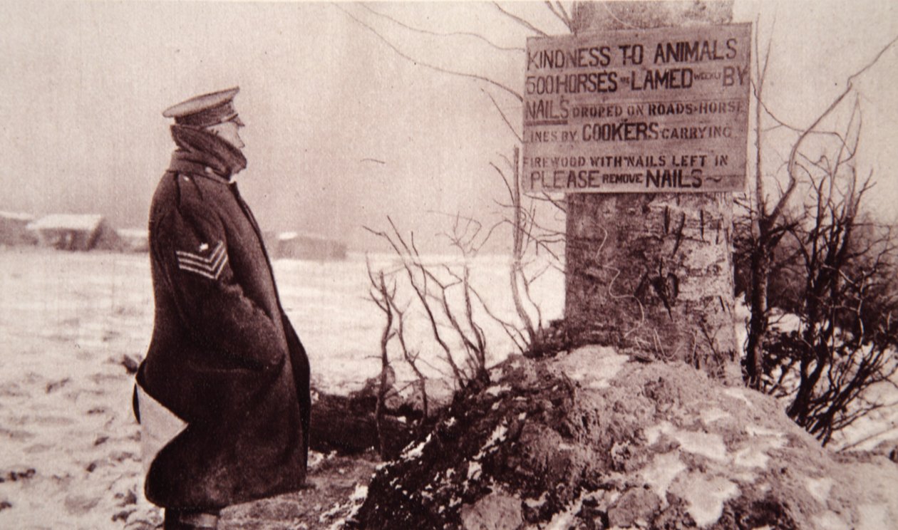 Życzliwość dla zwierząt, ilustracja z The Illustrated War News, 7 lutego 1917 (zdjęcie w sepii) autorstwa English Photographer
