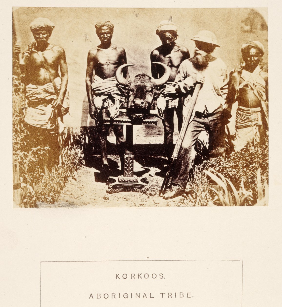 Korkoos, Aboriginal Tribe, Berar, z The People of India, J. Forbes Watson, opublikowane 1868 (druk albumowy) autorstwa English Photographer