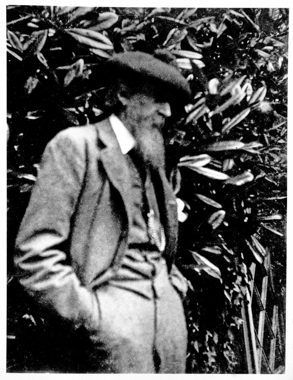 Leslie Stephen, 1900 autorstwa English Photographer