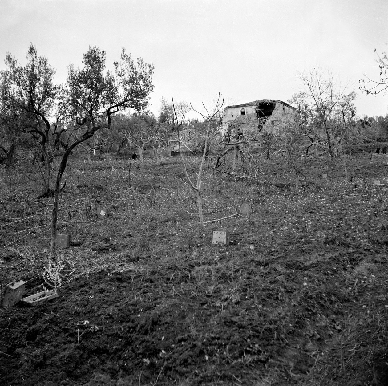 Pole minowe w pobliżu szczytu Licolle Ridge, ok. 1944 r. autorstwa English Photographer