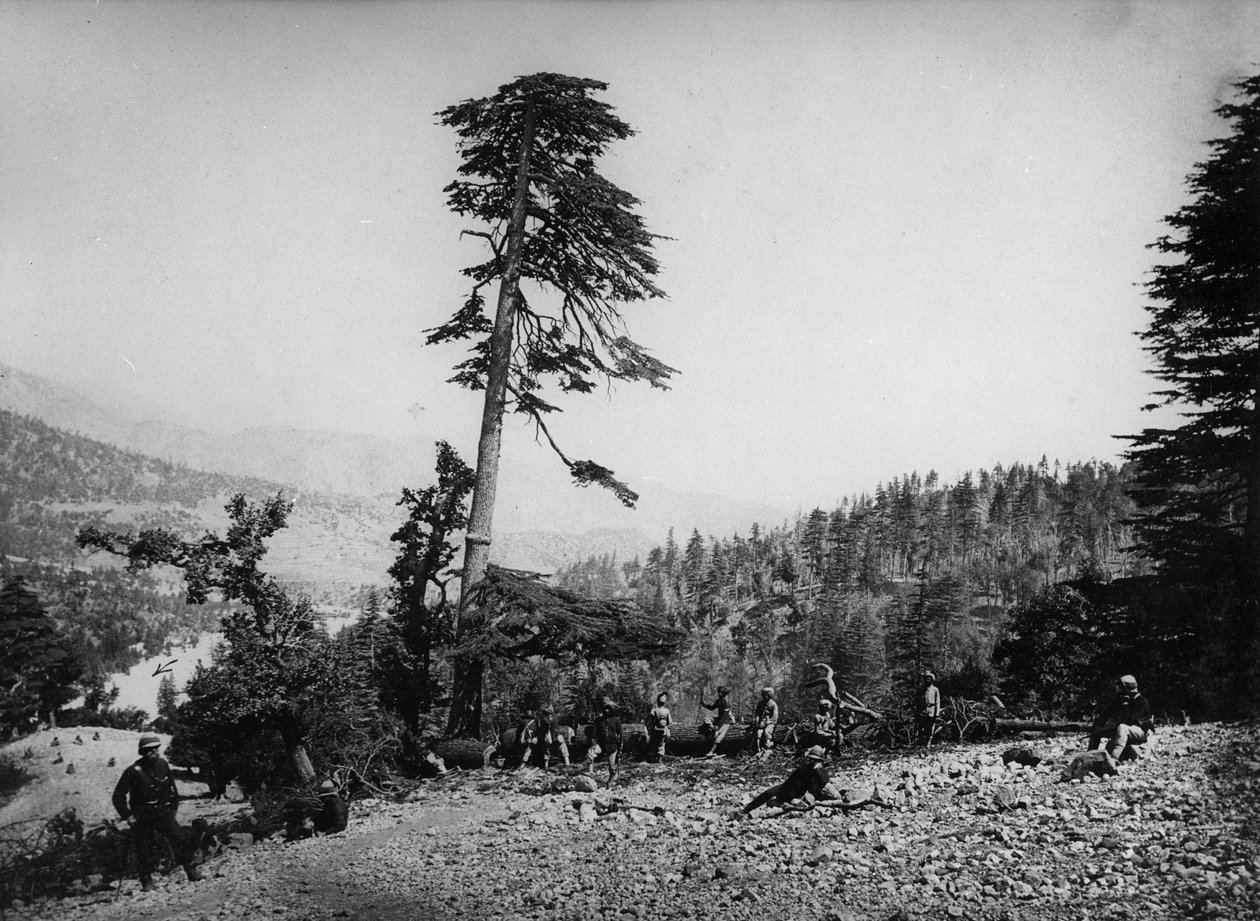 Rdzenni i brytyjscy żołnierze odpoczywający podczas drugiej wojny angielsko-afgańskiej, 1878-80 autorstwa English Photographer