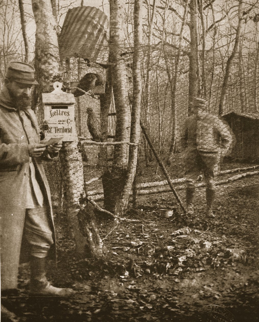 Na francuskim froncie lotaryńskim: Skrzynka na listy z obozu Poilus i maskotki myszołowów, ilustracja z The Illustrated War News (zdjęcie w sepii) autorstwa English Photographer