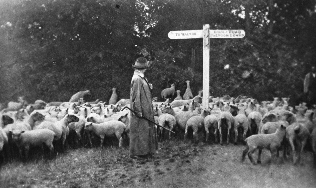 Malownicza praca wojenna: pasterka, z Ilustrowanych Wiadomości Wojennych, 5 lipca 1916 autorstwa English Photographer
