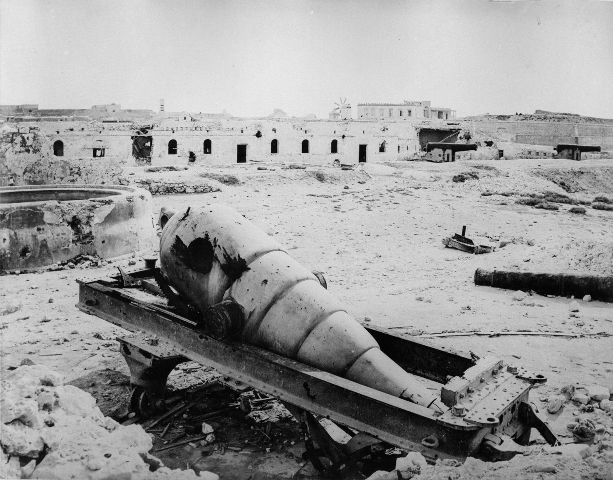 Ruiny i artyleria w Fort Meks, 1882 autorstwa English Photographer