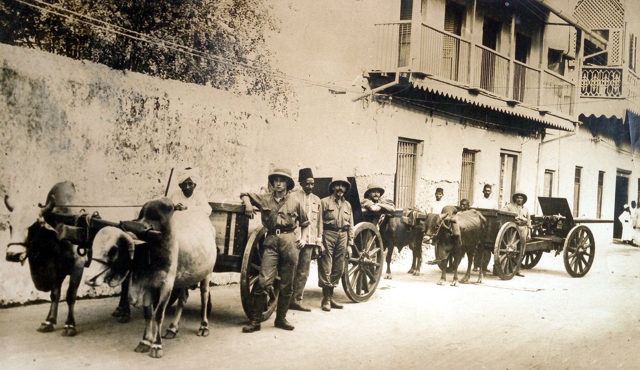 „Uratowane brytyjskie działa nadal przydatne”, Zanzibar, 1914 r. autorstwa English Photographer
