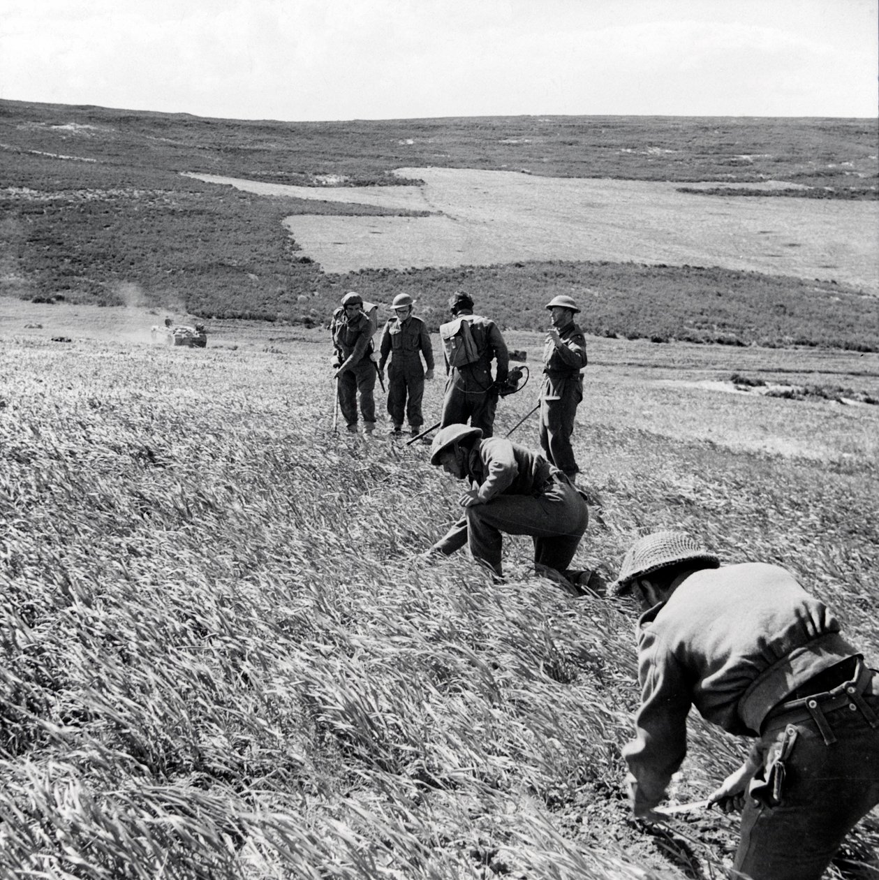 Saperzy z 237 Field Company, Royal Engineers, oczyszczają pole minowe po ataku Pierwszej Armii na Toukabeur i Chaouach, kwiecień 1943 autorstwa English Photographer