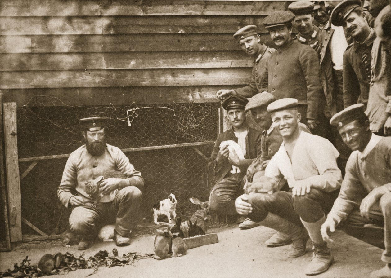 Some of the Prisoners Pets, Dorchester, ilustracja z niemieckich więźniów w Wielkiej Brytanii (fotograwiura) autorstwa English Photographer
