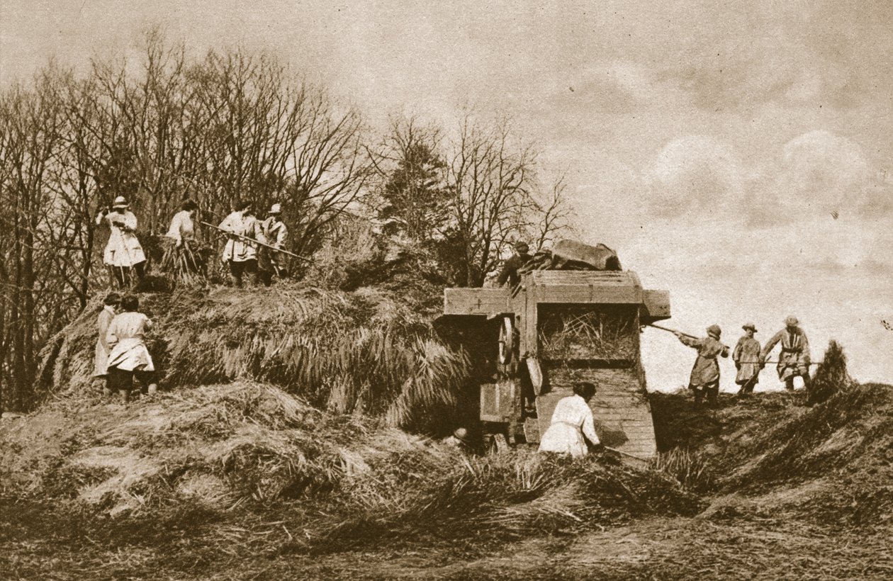 Szkolenie Kobiecej Armii Lądowej w teorii i praktyce wszystkich gałęzi rolnictwa, 1914-19 autorstwa English Photographer