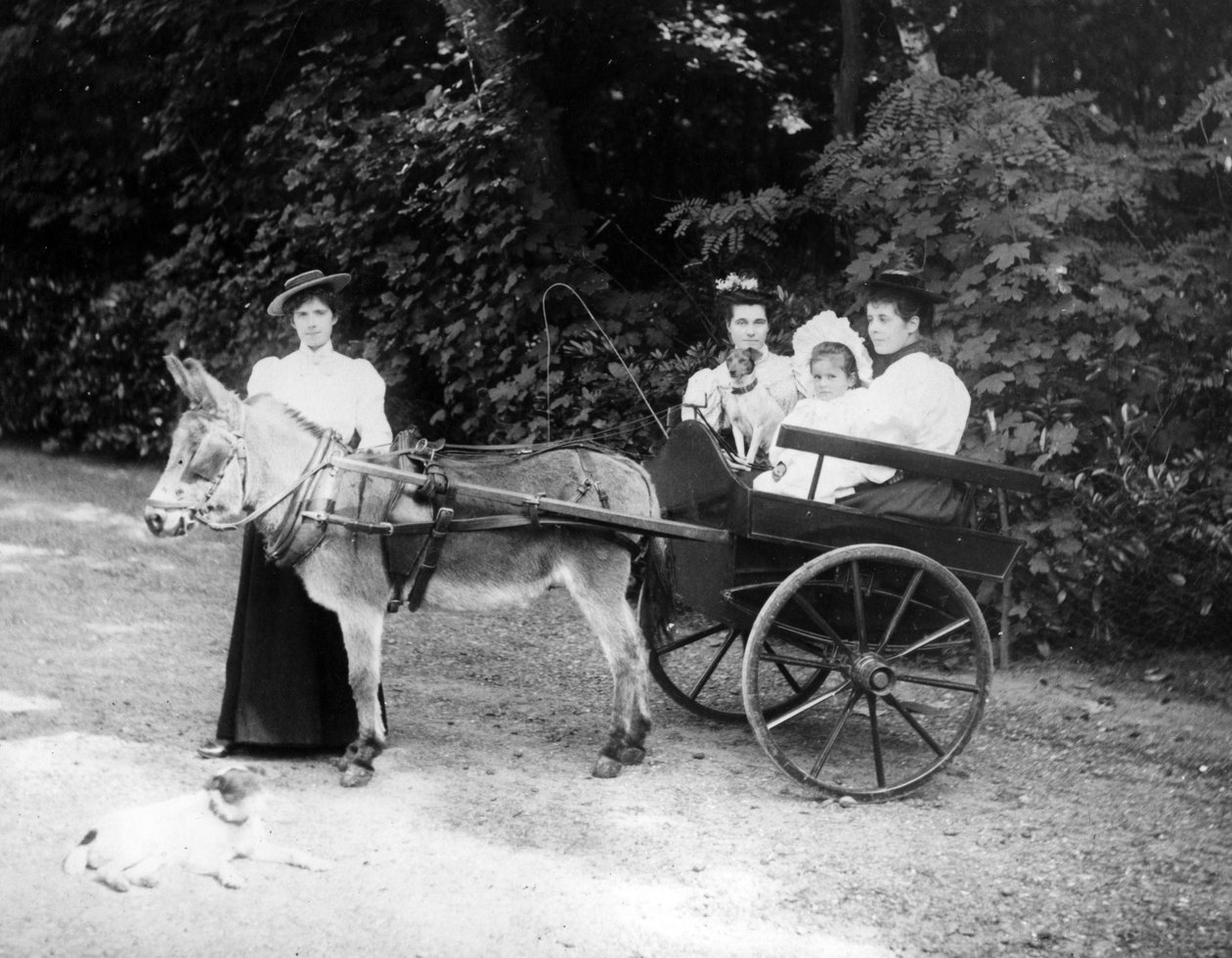 Wiktoriański wózek osła, ok. 1890 r autorstwa English Photographer