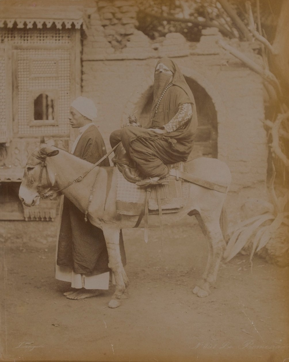 Kobieta na osiołku, Kair, 1893 autorstwa English Photographer