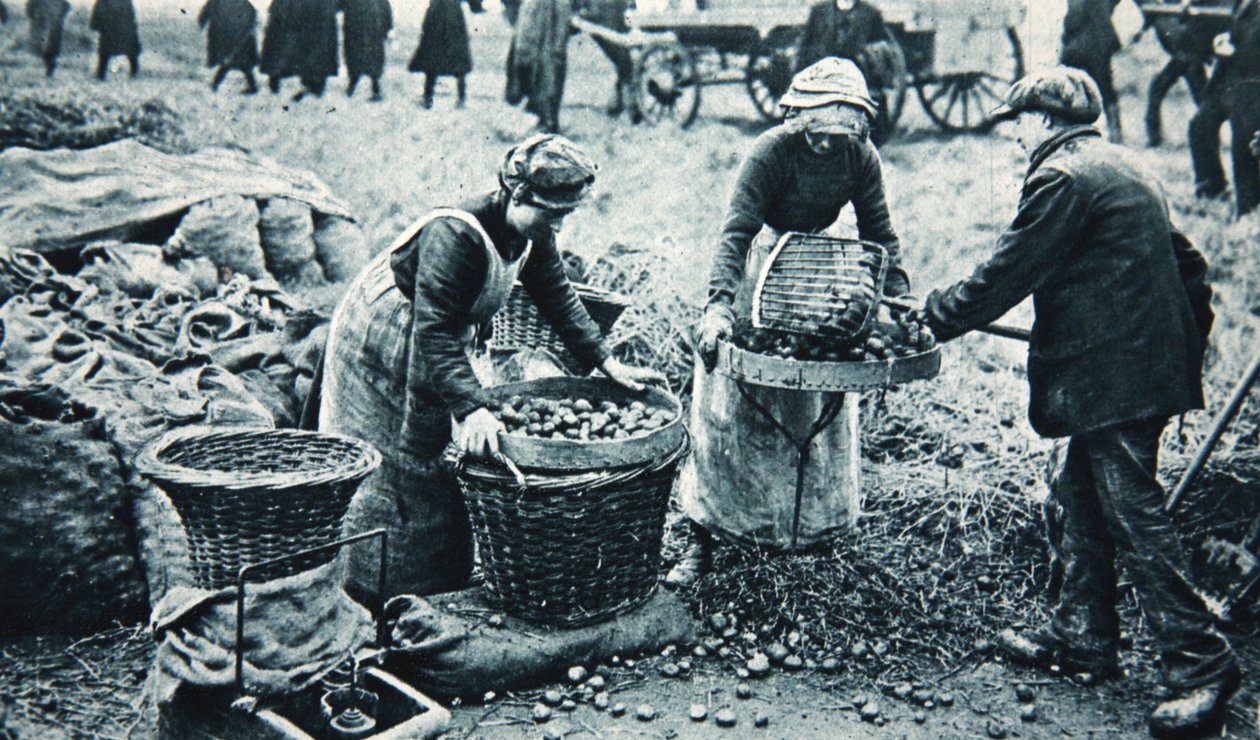 Robotnice na lądzie, ilustracja z The Illustrated War News, 7 marca 1917 (zdjęcie w sepii) autorstwa English Photographer