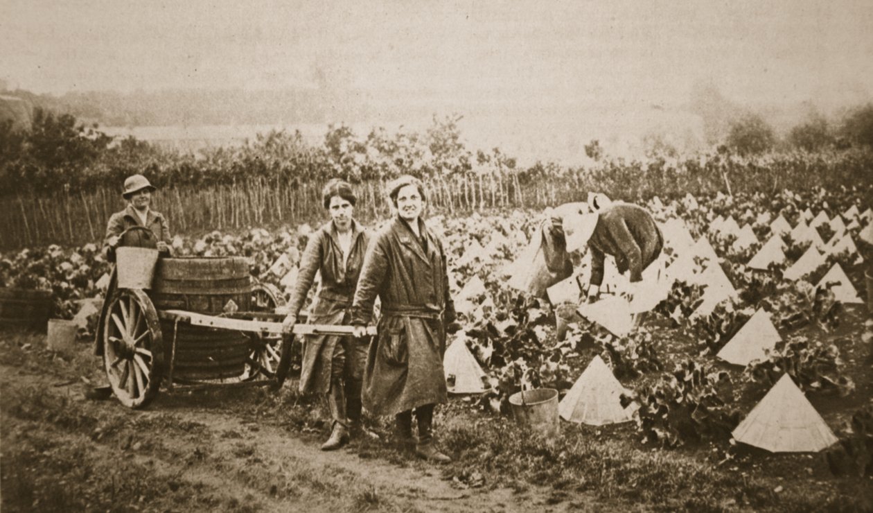 Kobiety na lądzie: kilka ciekawych scen w Evesham, z The Illustrated War News, 28 czerwca 1916 (zdjęcie w sepii) autorstwa English Photographer
