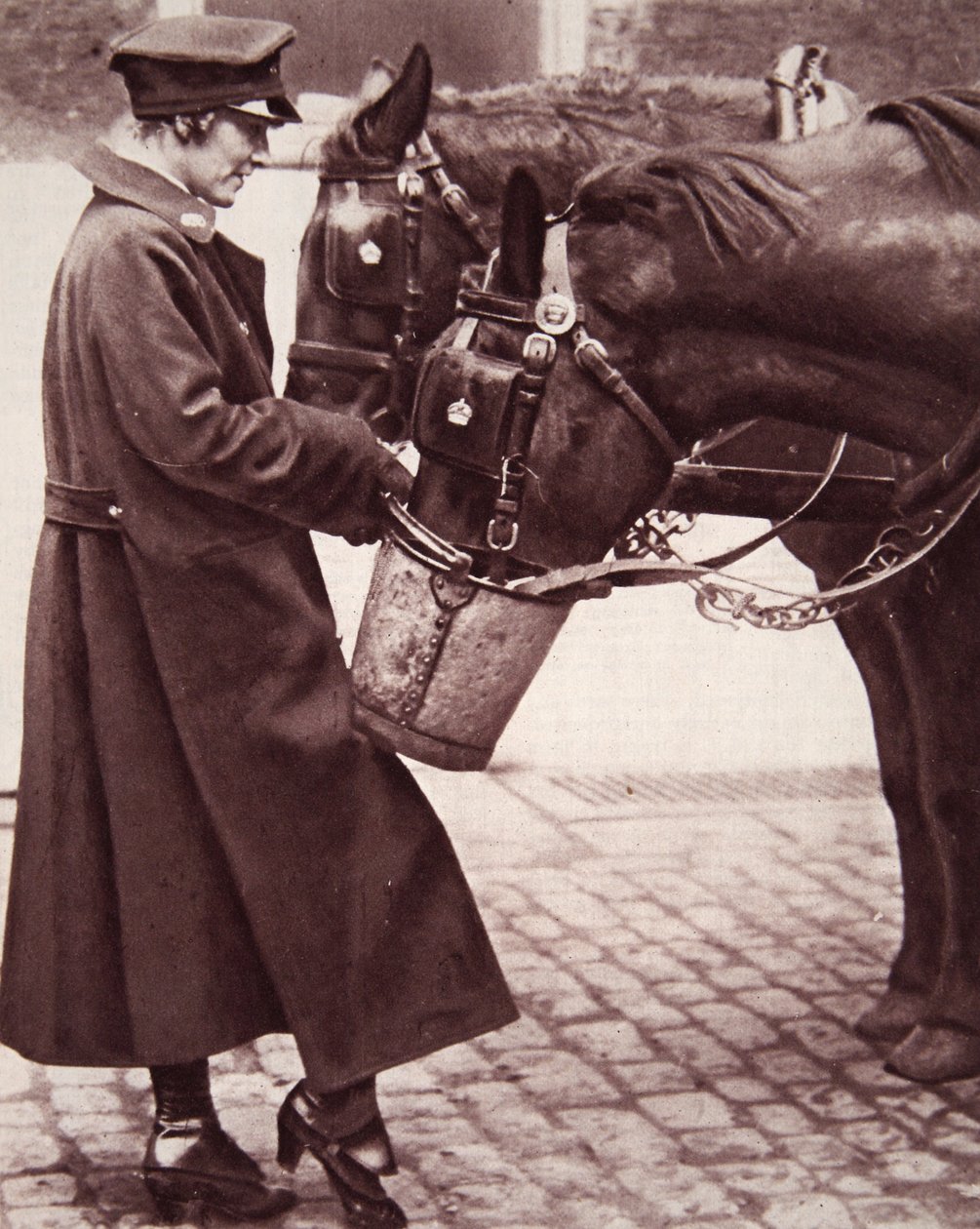 Praca dla kobiet ze znajomością koni, ilustracja z The Illustrated War News, 7 marca 1917 (zdjęcie w sepii) autorstwa English Photographer