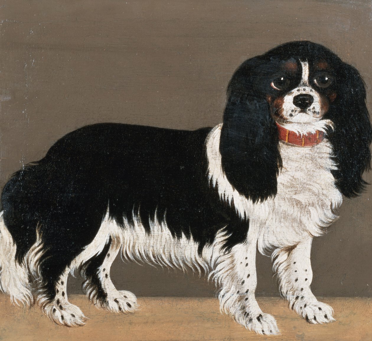 Cavalier King Charles Spaniel (para 64045) autorstwa English School