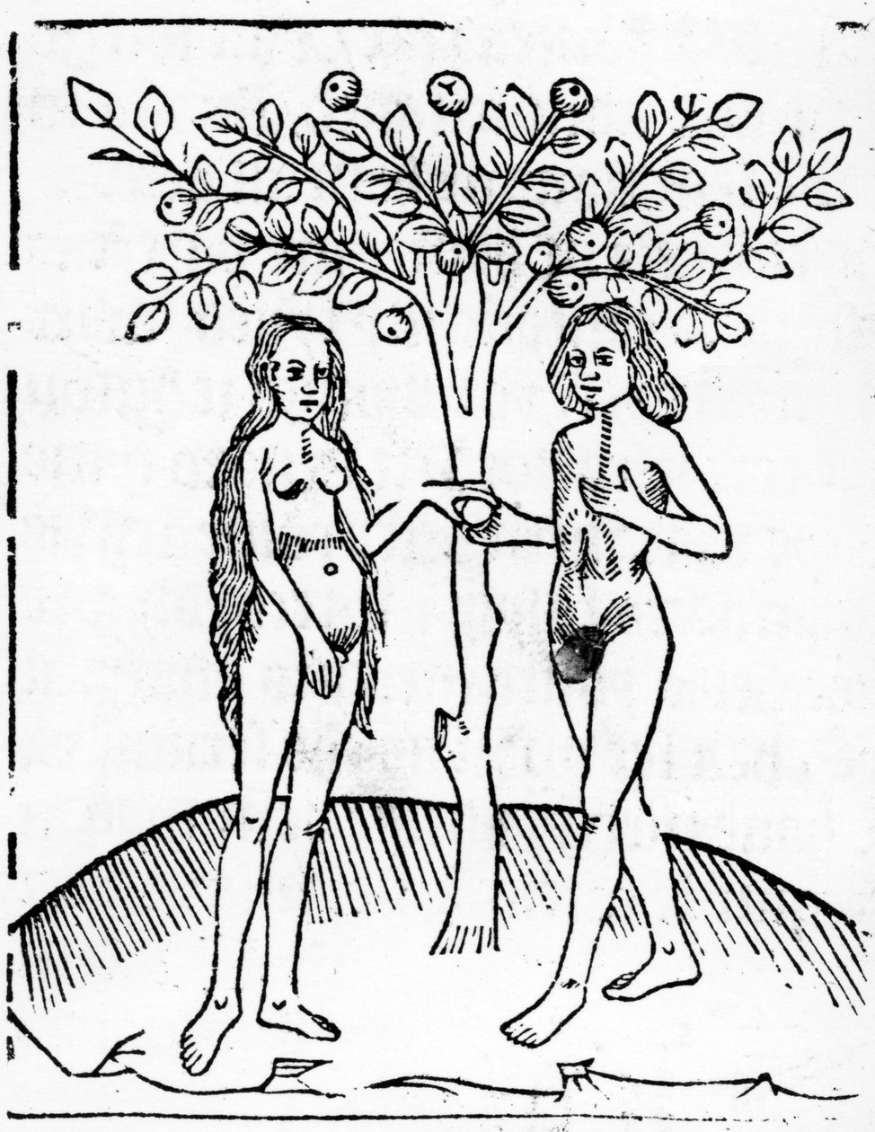 Adam i Ewa, ilustracja ze Speculum Vitae Christi, 1491 autorstwa English School