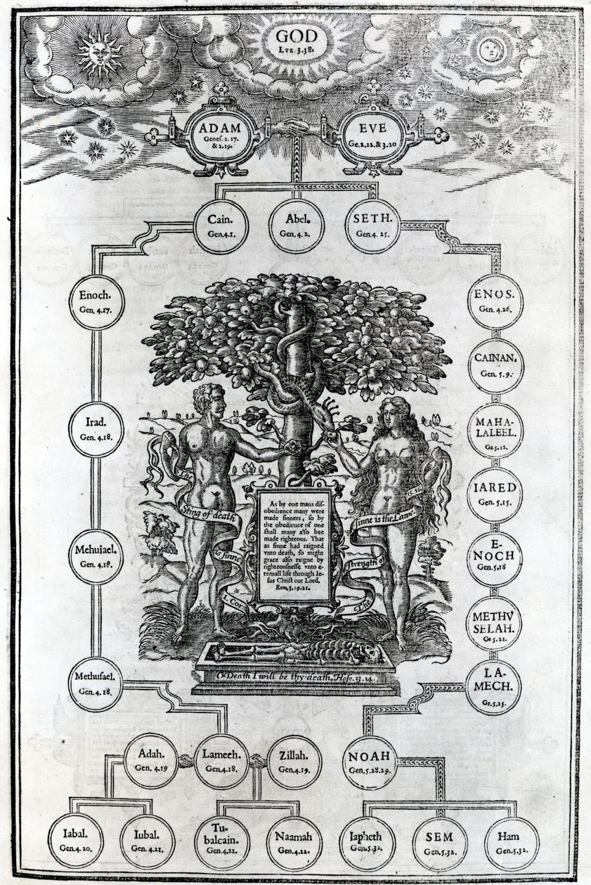 Drzewo genealogiczne Adama i Ewy, 1556 r. autorstwa English School