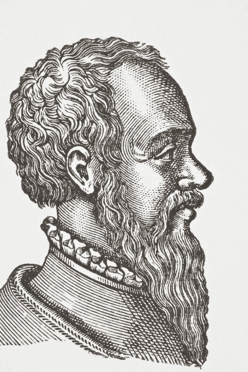 Klemens Marot, 1878 autorstwa English School