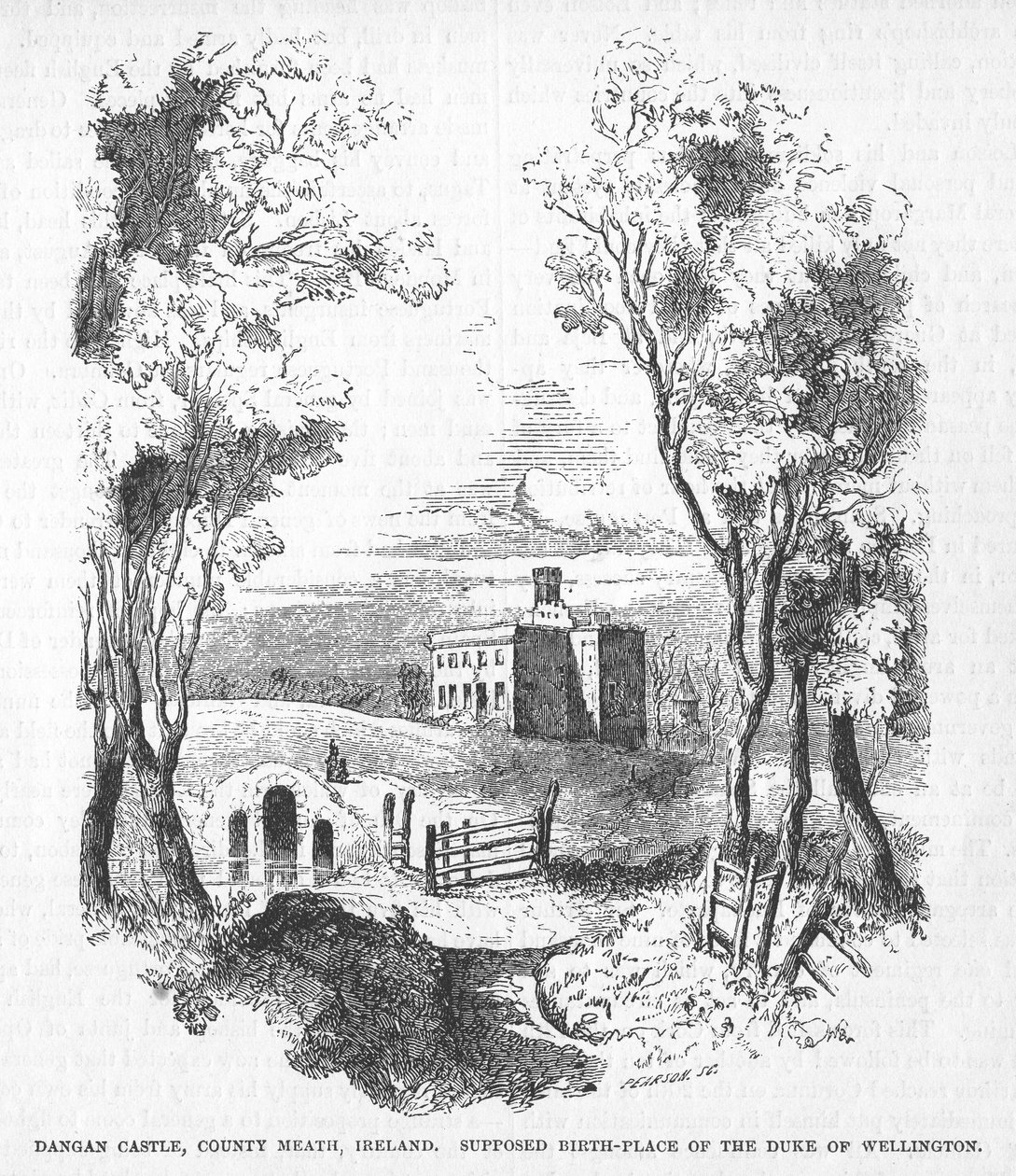 Zamek Dangan, hrabstwo Meath, Irlandia autorstwa English School