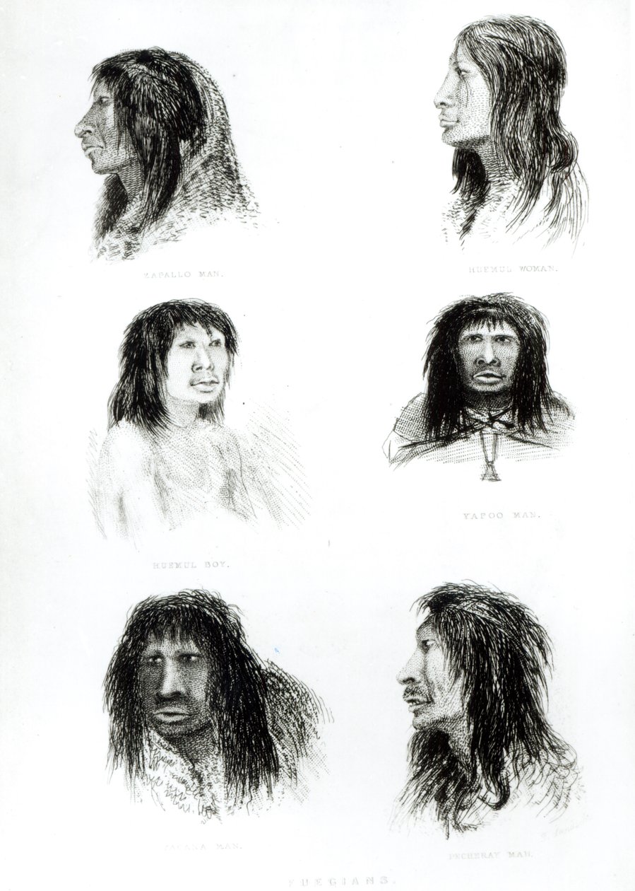 Fuegowie, 1838 autorstwa English School