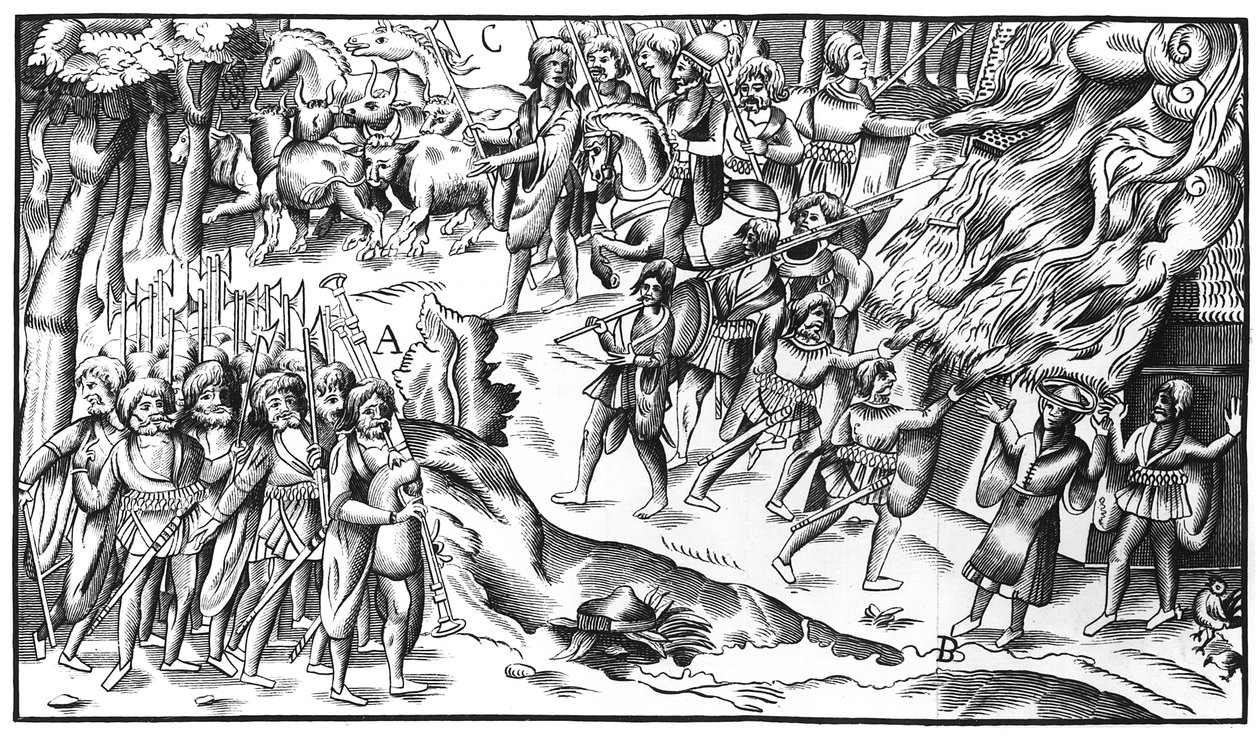 Irlandzki nalot na bydło na angielskiej plantacji, 1581 autorstwa English School
