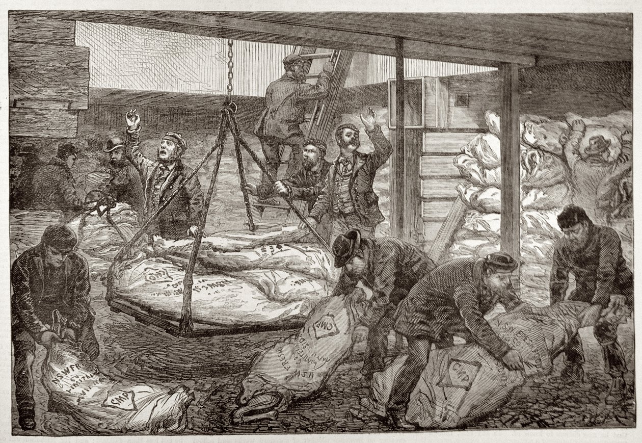 Lądowanie Australian Frozen Meat z Sydney w South West India Dock, Millwall, z „The Illustrated London News”, 19 listopada 1881 autorstwa English School