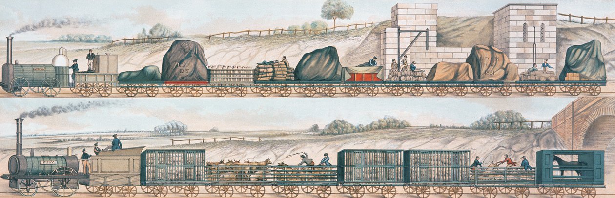 Liverpool i Manchester Railway: fracht i zwierzęta gospodarskie autorstwa English School