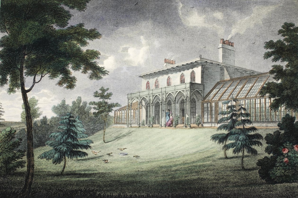 Góra Ararat, Wimbledon, wyd. C. 1828 (ręcznie kolorowane grawerowanie) autorstwa English School