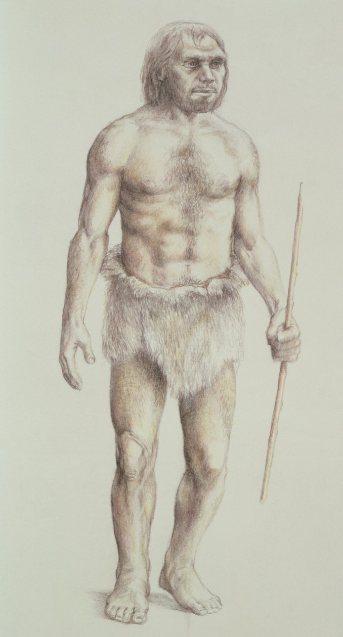 Neandertalczyk autorstwa English School