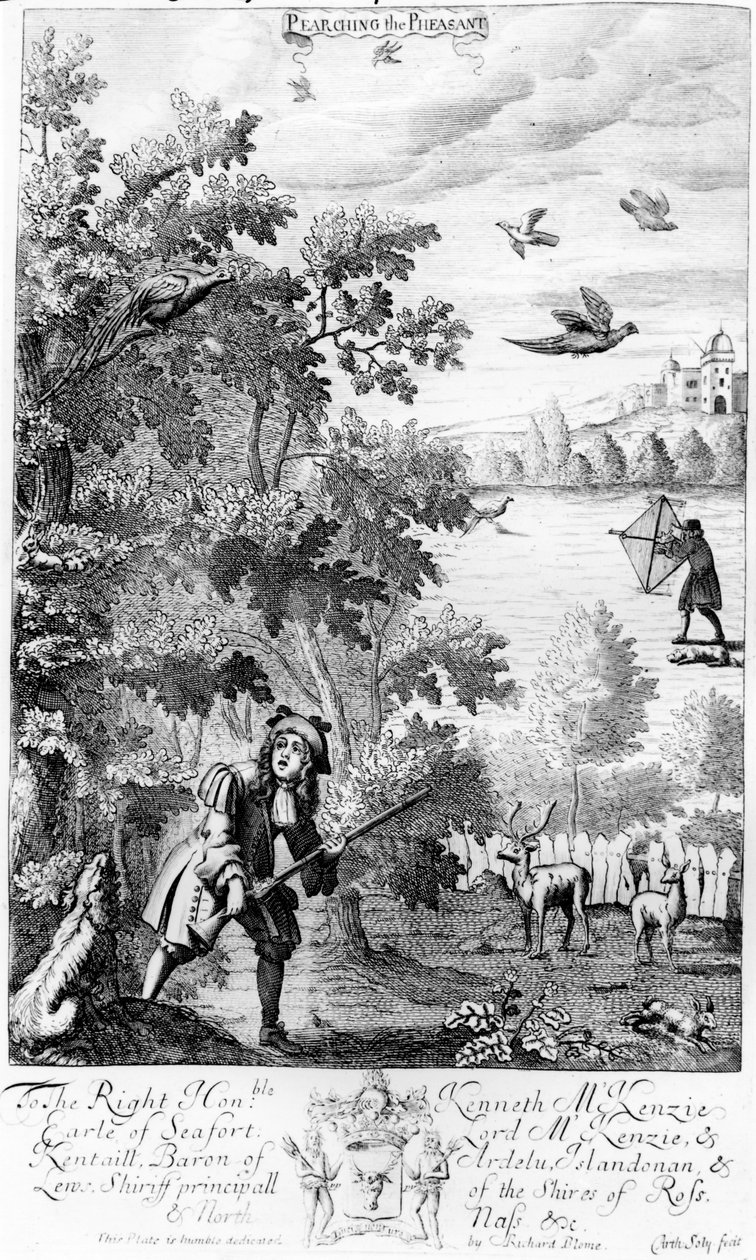 Pearching the Bażant, z 