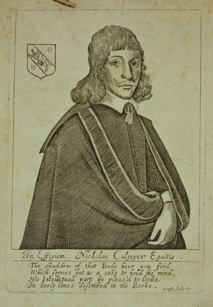 Portret Nicholasa Culpepera (1616-54) z A Physical Directory lub Translation of the London Dispensatory, rytowany przez Thomasa Crossa, 1649 autorstwa English School