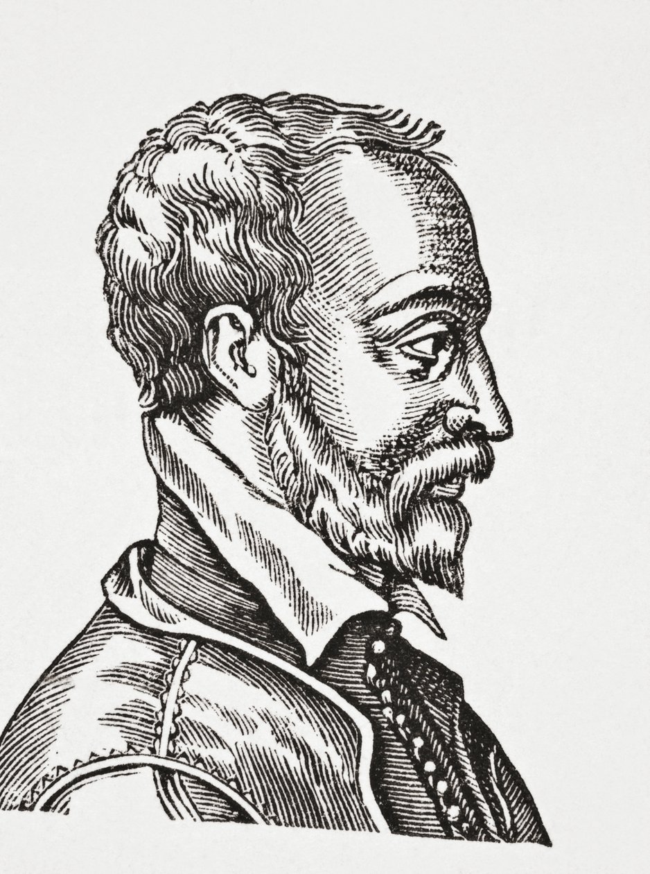 Remy Belleau, 1878 autorstwa English School