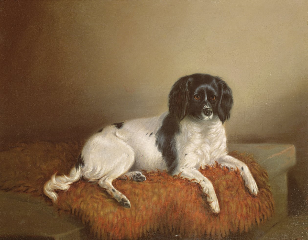 Springer spaniel autorstwa English School