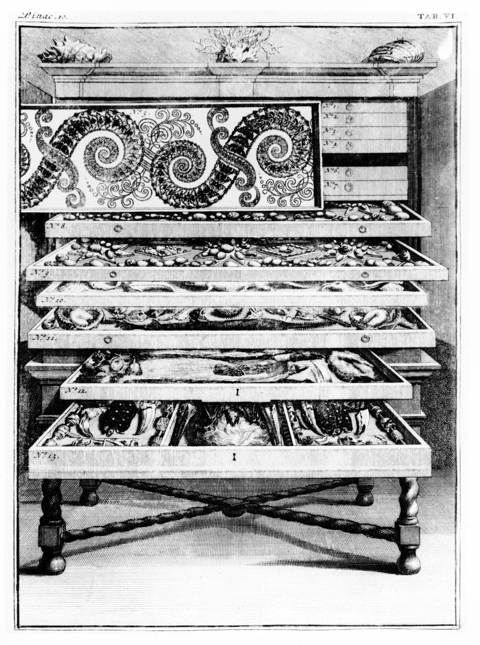Tabela 6 z „Elenchus Tabularum” Levina Vincenta (1658-1727) 1719 autorstwa English School