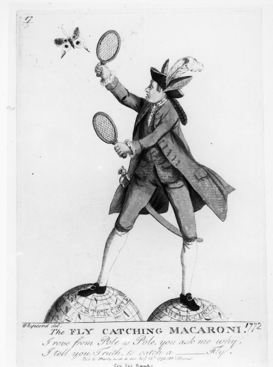 The Fly Catching Macaroni, grawerowane przez Whipcord, wyd. N. Darly, 12 lipca 1772 autorstwa English School