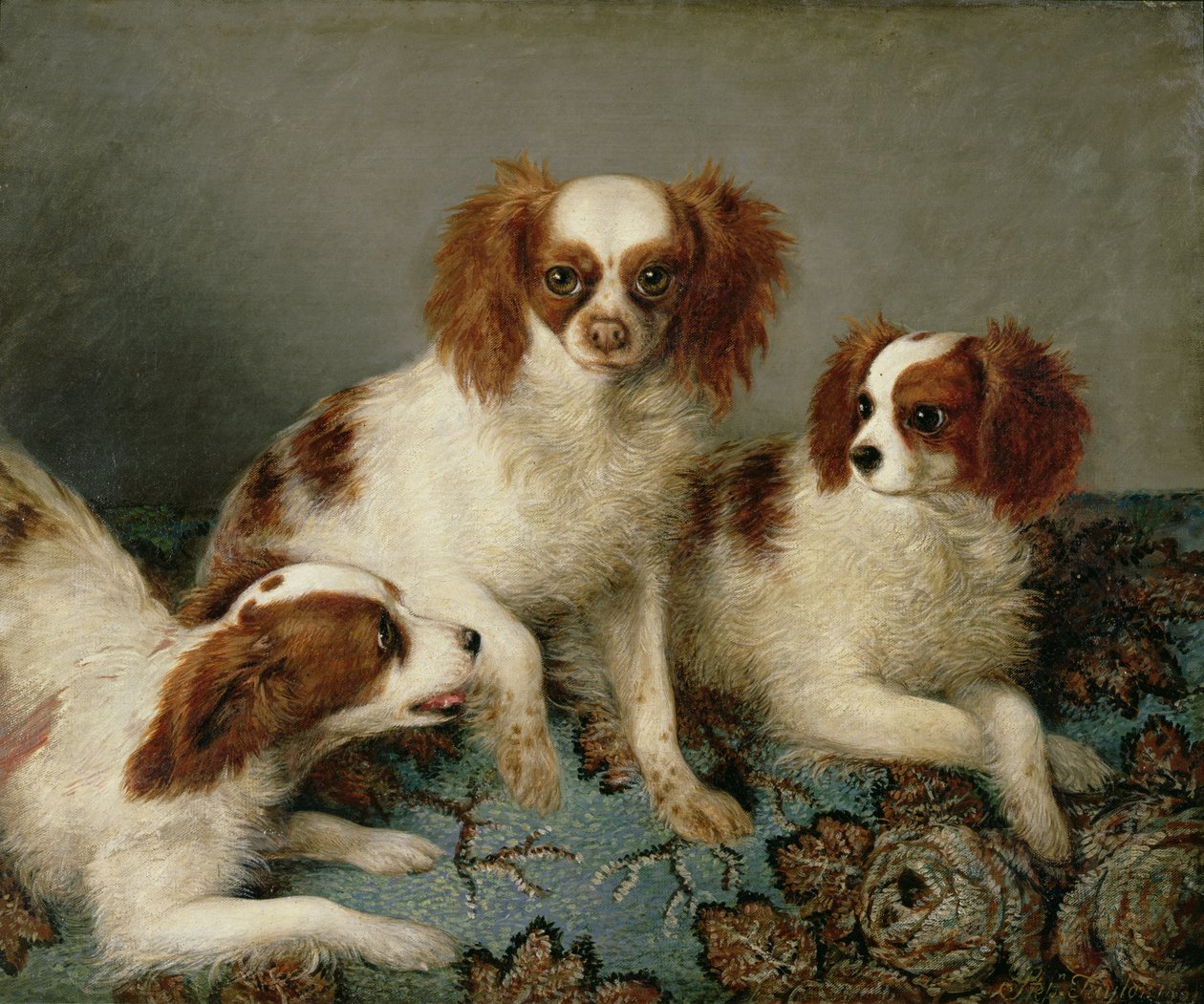 Trzy Cavalier King Charles Spaniele na dywanie autorstwa English School