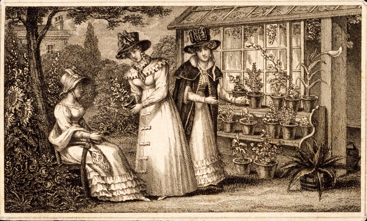 Trzy panie ogrodnictwo przy szopce doniczkowej ok. 1820 r. autorstwa English School