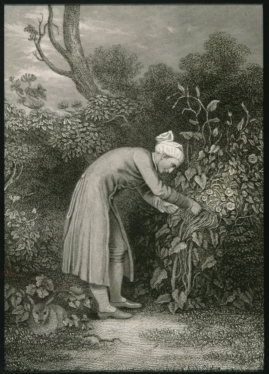 William Cowper (1731-1800) autorstwa English School
