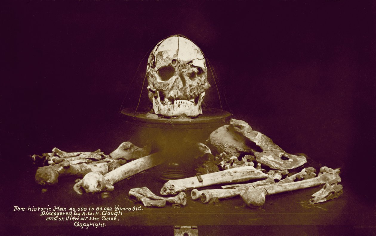 Kości prehistorycznego człowieka sprzed 40 000 do 80 000 lat odkryte przez A G H Gough (zdjęcie kolorowe) autorstwa English Photographer