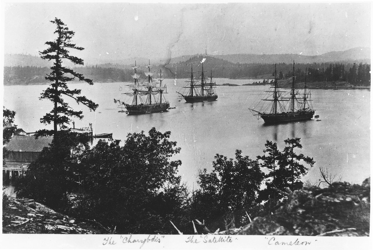 HMS Charybdis, HMS Satellite i HMS Cameleon w stoczni Esquimalt Royal Navy, Kolumbia Brytyjska, ok. 1880 r. autorstwa English Photographer