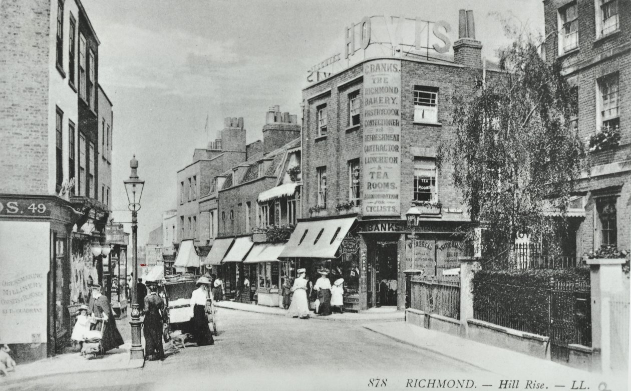 Hill Rise, Richmond: widok ogólny, 1895 autorstwa English Photographer