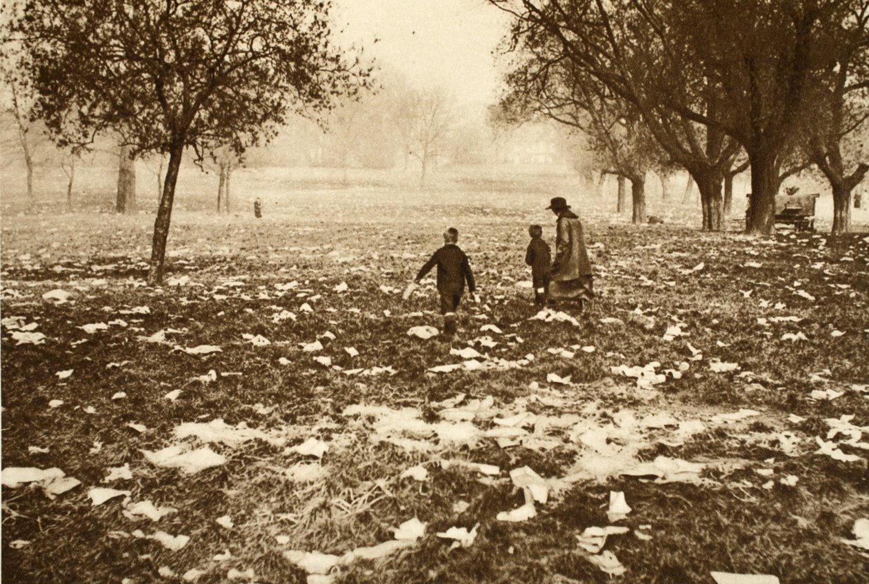 Trawa usiana śmieciami na wrzosowisku Hampstead dzień po Bank Holiday, z Wonderful London, wyd. 1926-27 (fotograwiura) autorstwa English Photographer